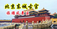 抽插射高潮视频中国北京-东城古宫旅游风景区